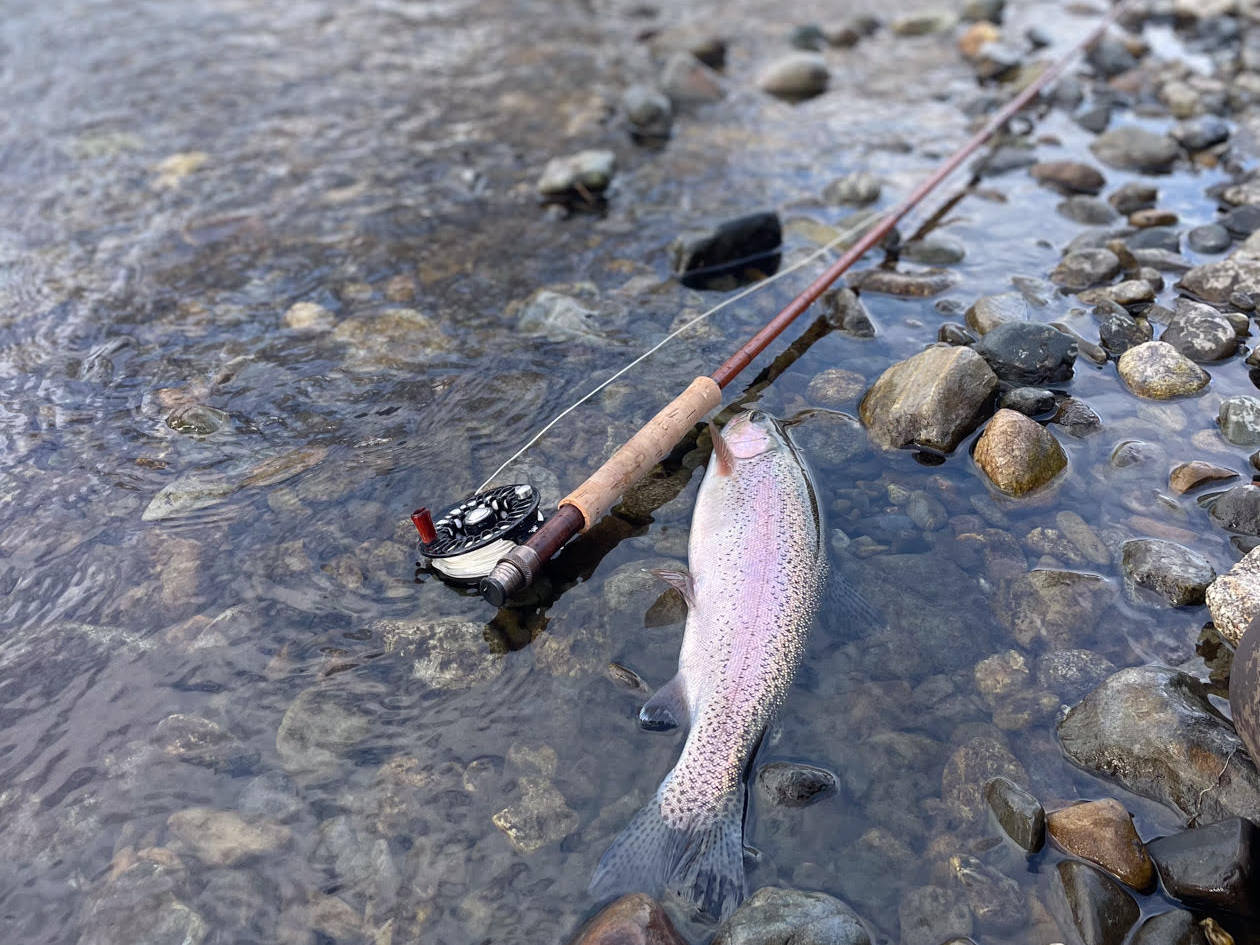 ラリー・ケニーLarry Kenney グラスロッド Model 733 /3 pcフライロッド